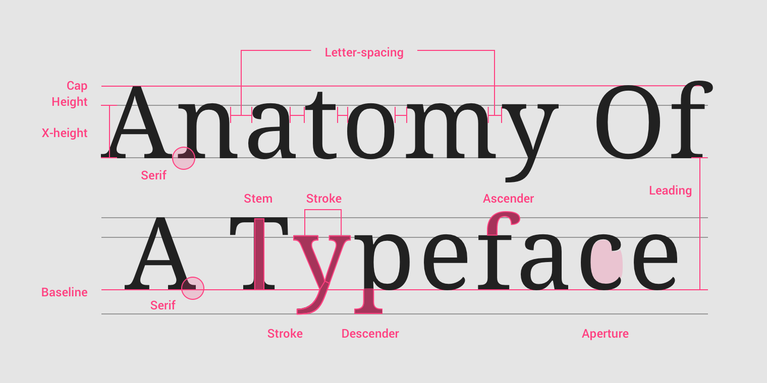 Anatomy of a typeface